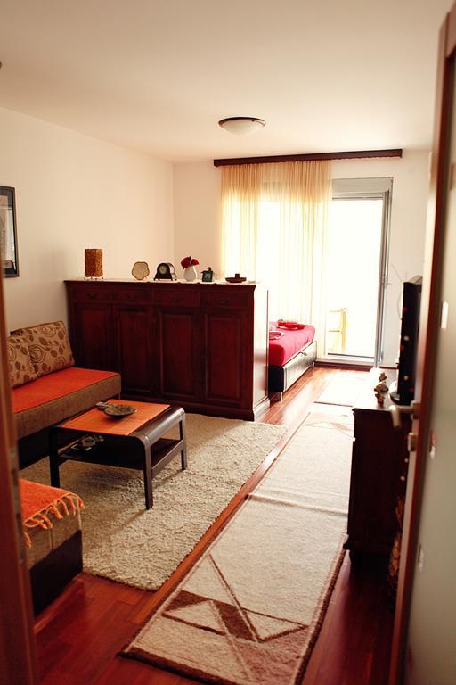 Studio Apartment Nika Andusa Petrovac Værelse billede