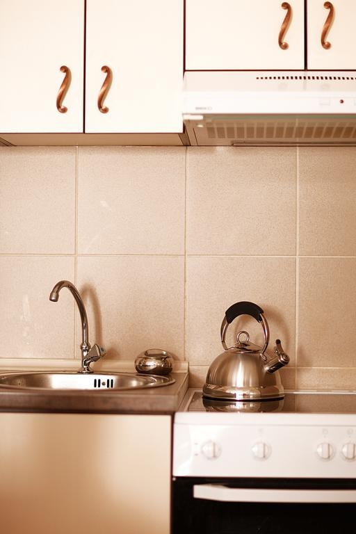 Studio Apartment Nika Andusa Petrovac Værelse billede