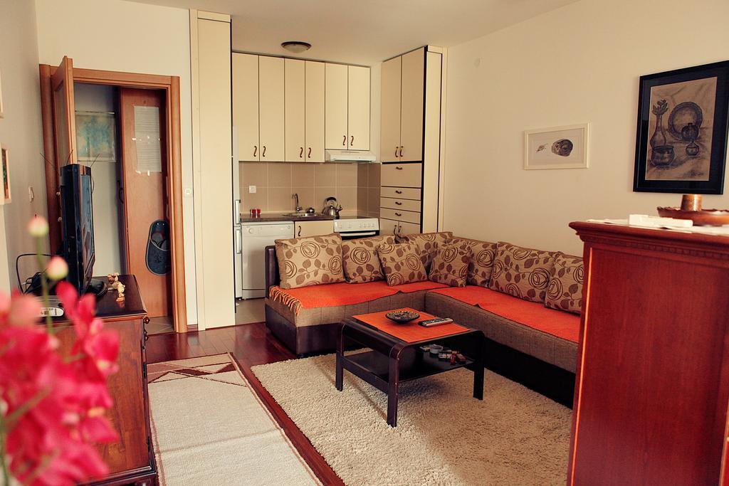 Studio Apartment Nika Andusa Petrovac Værelse billede